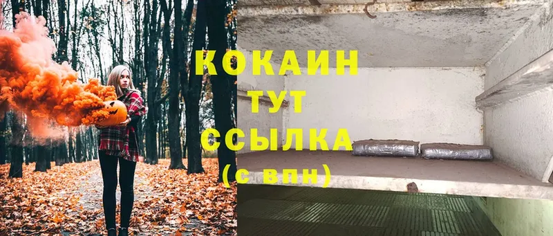 COCAIN Эквадор  Кириллов 